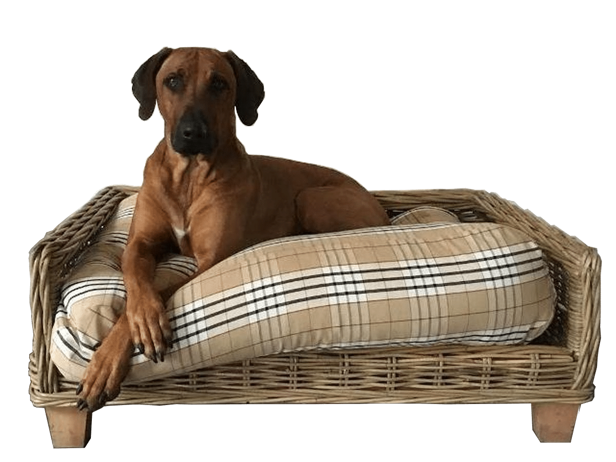 Dog's Companion Hondenkussen – Country Field