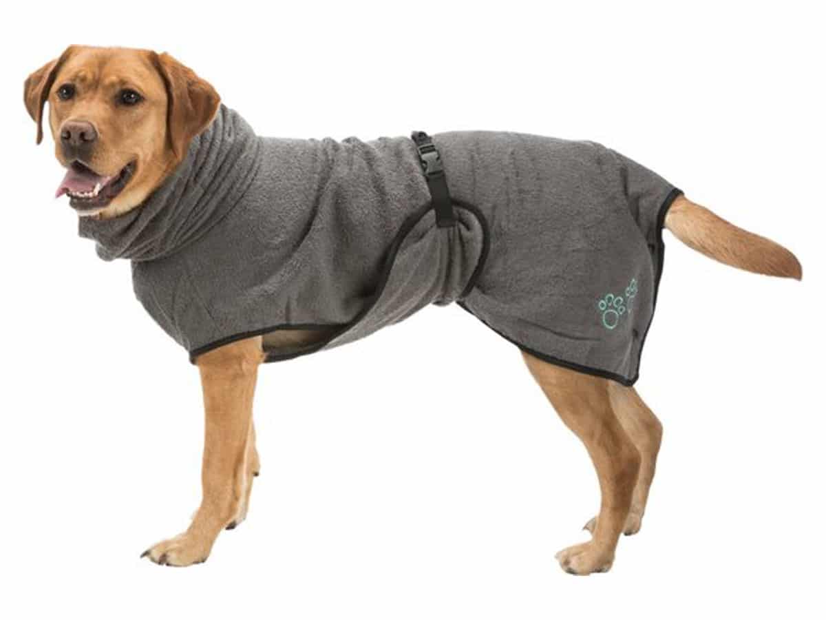 Beste-badjas-hond-voor-kleine-honden