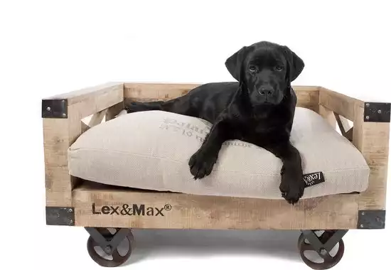 Lex & Max Divan 