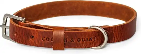 Cooper & Quint No Fuss - Halsband Hond Leer