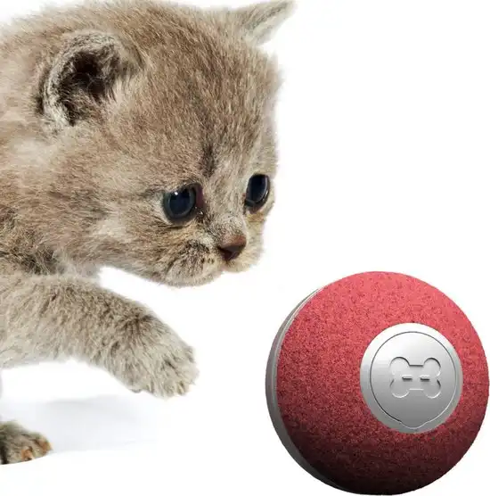 Cheerble Mini Ball 2.0 Katten Speeltjes