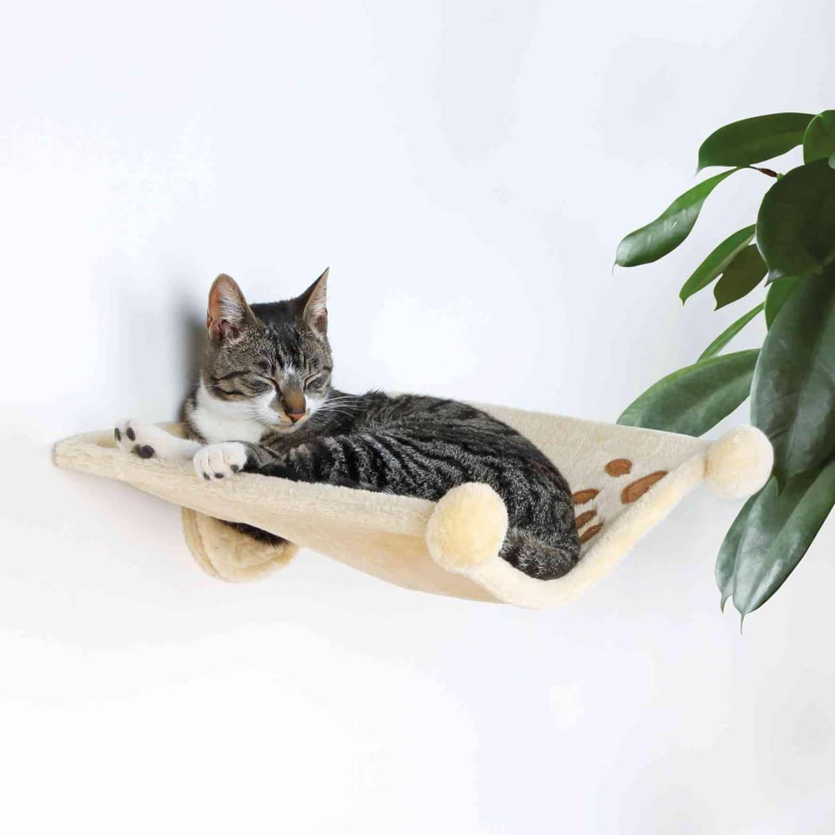 Beste-Budget-Katten-Hangmat