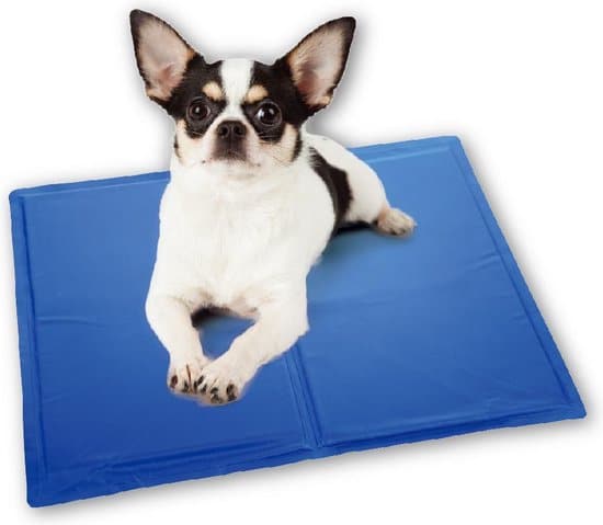 Koelmat Honden Maat S